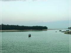 -东郊椰林