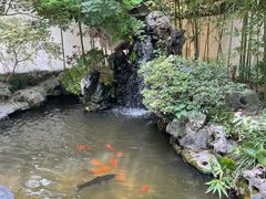 -上海醉白池公园