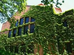 -东华大学(松江校区)