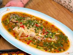 -盐与味葱葱鲫鱼•自贡菜江湖菜(春熙店)