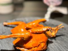 -三强鸽子(中原路店)