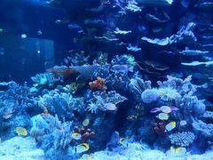 -左海海底世界