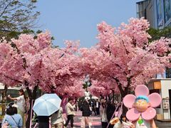 -东莞松山湖万象汇