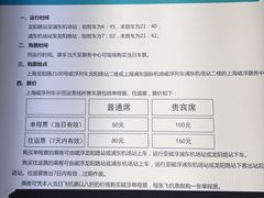 -龙阳路磁悬浮列车总站-停车场