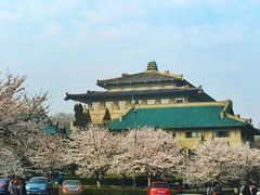 -武汉大学-樱园