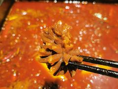 雪花郡肝-红鼎坊·老成都火锅(新南门店)