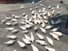 -世界地热博览园
