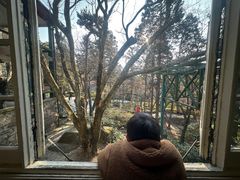 -庐山风景区花径公园