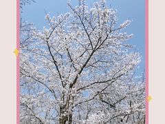 -龙美术馆(西岸馆)