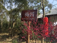 mei yu an-上海海湾国家森林公园