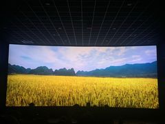 -汉阳天河电影城(王家湾店)