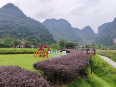 -靖西鹅泉风景区