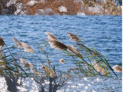 -北京金海湖景区