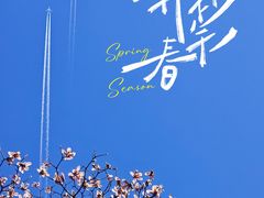 -碑林公园