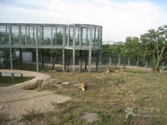 秦岭野生动物园-西安秦岭野生动物园