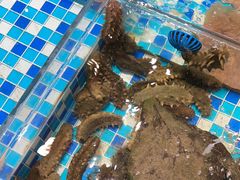 -映像威海·海鲜味道(市区店)