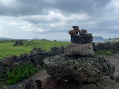 -涉地可支
