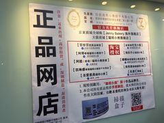-珍妮曲奇聪明小熊(尖沙咀店)