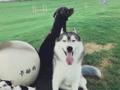 -秦皇岛阿尔卡迪亚滨海度假酒店