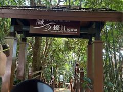 -亚龙湾热带天堂森林公园