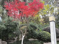 -云龙山