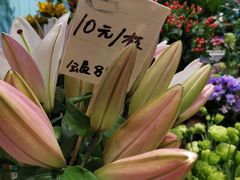 -妃比花艺(光启城时尚购物中心店)