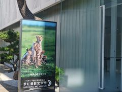 -罗红摄影艺术馆