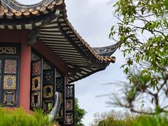 -碧江金楼