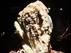 -深圳珠宝博物馆
