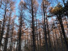 -长春净月潭风景名胜区