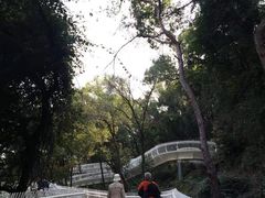 -金鸡山公园