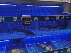 -悦海·家宴·冰花皮皮虾大锅贴(宝龙店)