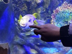 -太平洋海底世界