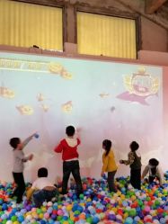 -恐龙探索乐园(磁器口店)