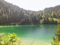 -武陵山森林公园