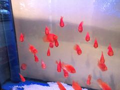 -北纬37°SPA养身会馆(湖西店)