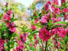 -广州市白云山风景名胜区