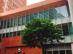 -香港大学