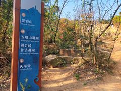 -灵岩山风景区