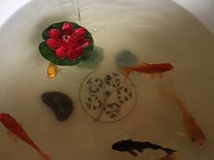 -董家湾重庆老火锅(嘉华店)