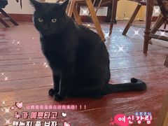 -春风十里咖啡馆