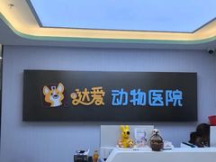 -达爱动物医院·犬猫分区·CT·复杂眼科(远洋山水分院)