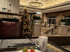 -常州武进九洲喜来登酒店
