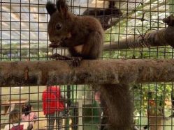 -萌宠亲子动物乐园(槐房万达店)