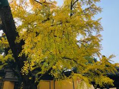 -无锡惠山寺