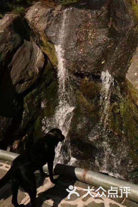 时光小筑图片 - 第2张