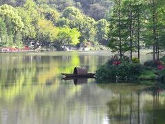-重庆彩云湖湿地公园