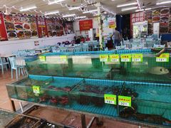 -西涌国际滨海旅游区