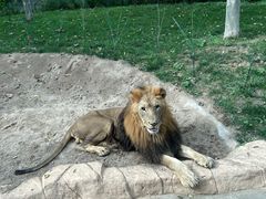 -北京野生动物园