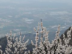 -终南山南五台景区